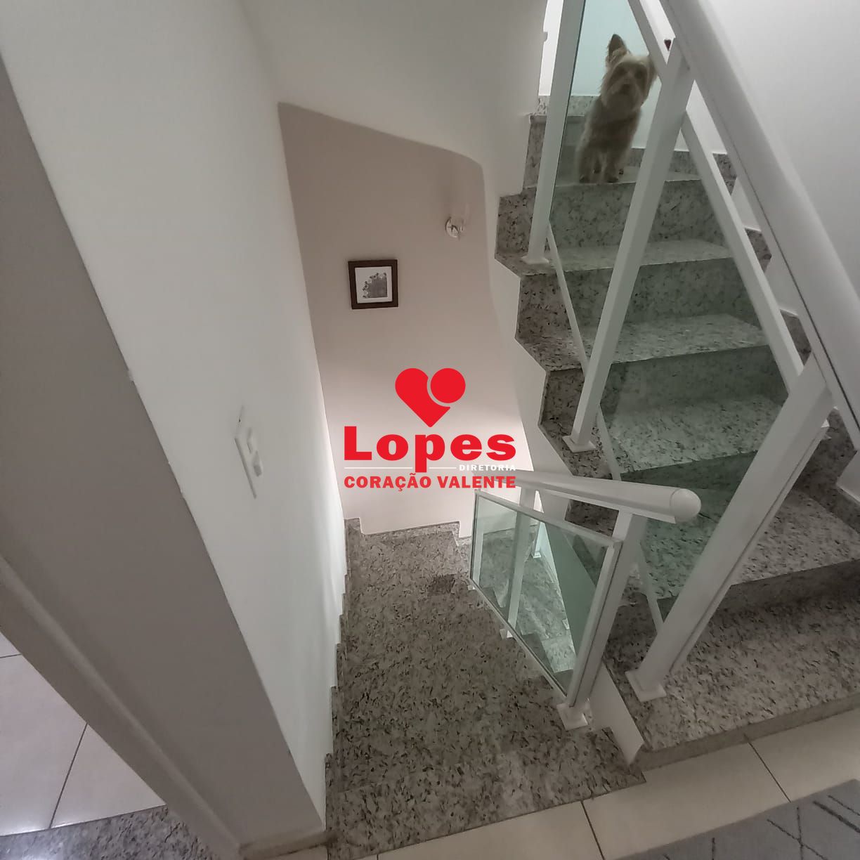 Casa à venda com 3 quartos, 120m² - Foto 24