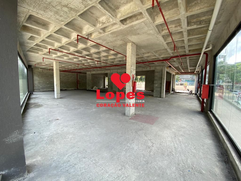 Sala-Conjunto, 318 m² - Foto 15