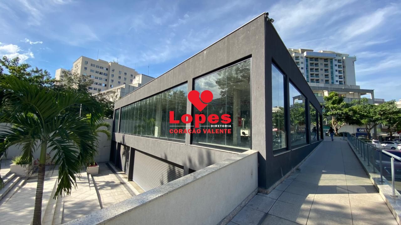 Sala-Conjunto, 318 m² - Foto 19