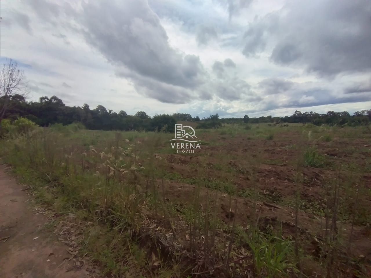 Fazenda à venda com 3 quartos, 1540000000m² - Foto 13