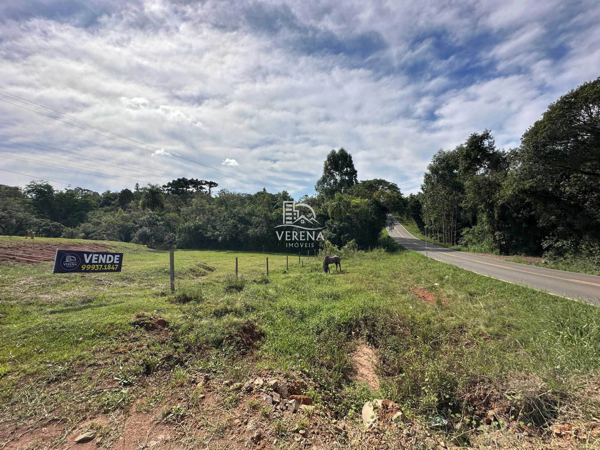 Fazenda à venda, 1000000000000m² - Foto 7