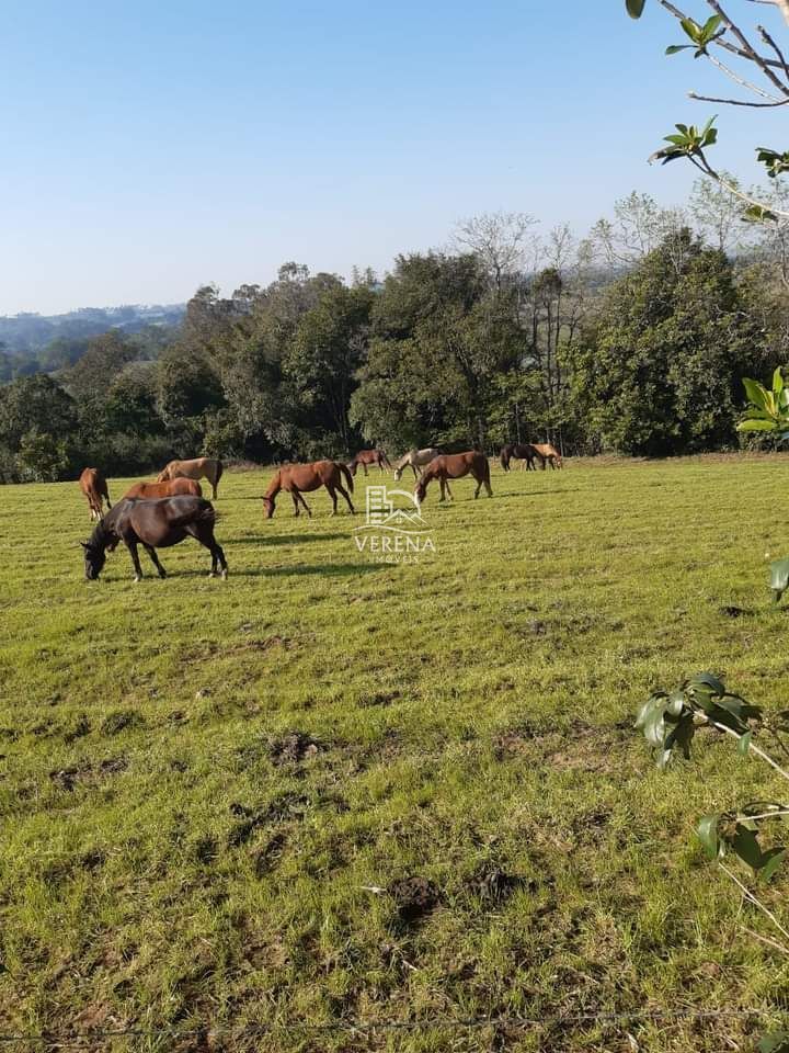 Fazenda à venda com 3 quartos, 1540000000m² - Foto 4