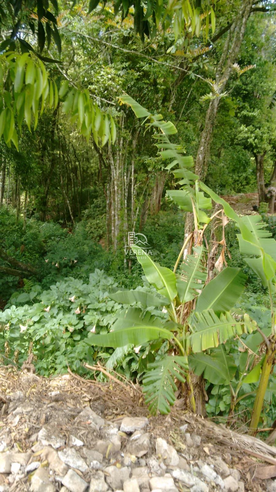 Terreno à venda, 370m² - Foto 3