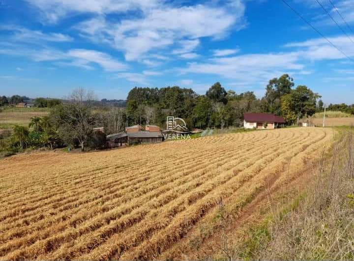 Fazenda à venda com 3 quartos, 1540000000m² - Foto 5