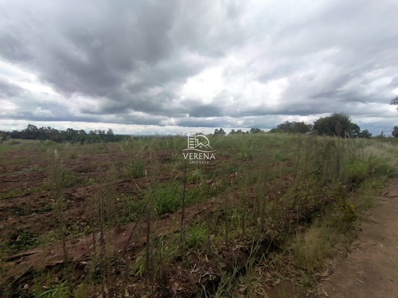 Fazenda à venda com 3 quartos, 1540000000m² - Foto 12