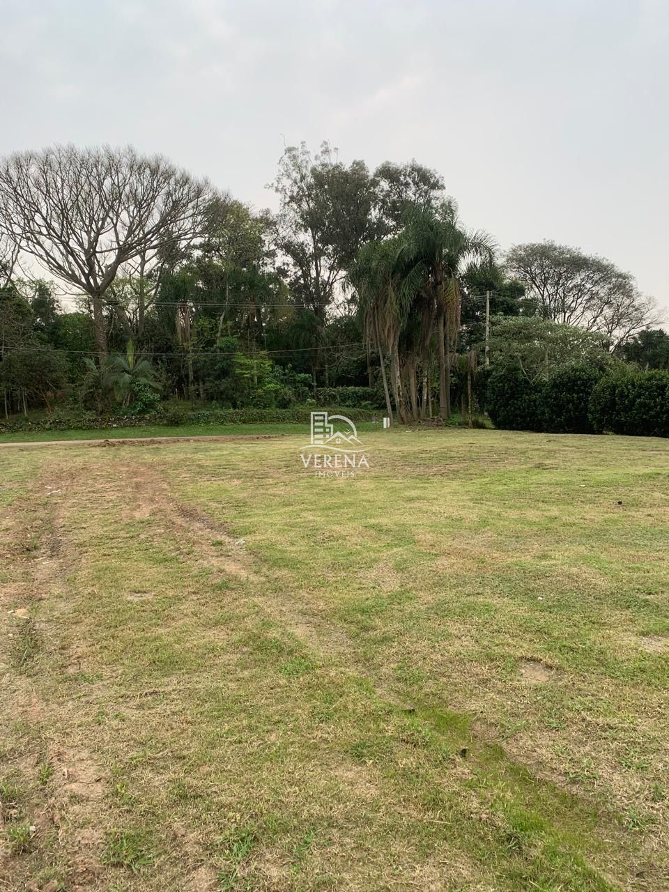 Terreno, 3250 m² - Foto 4