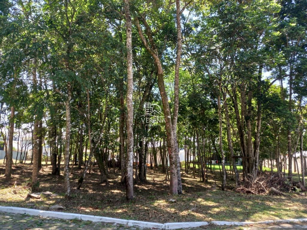 Terreno, 657 m² - Foto 3