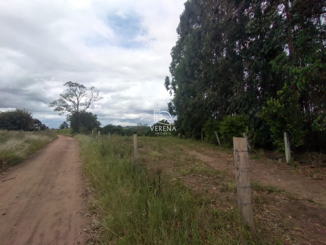 Fazenda à venda com 3 quartos, 1540000000m² - Foto 19