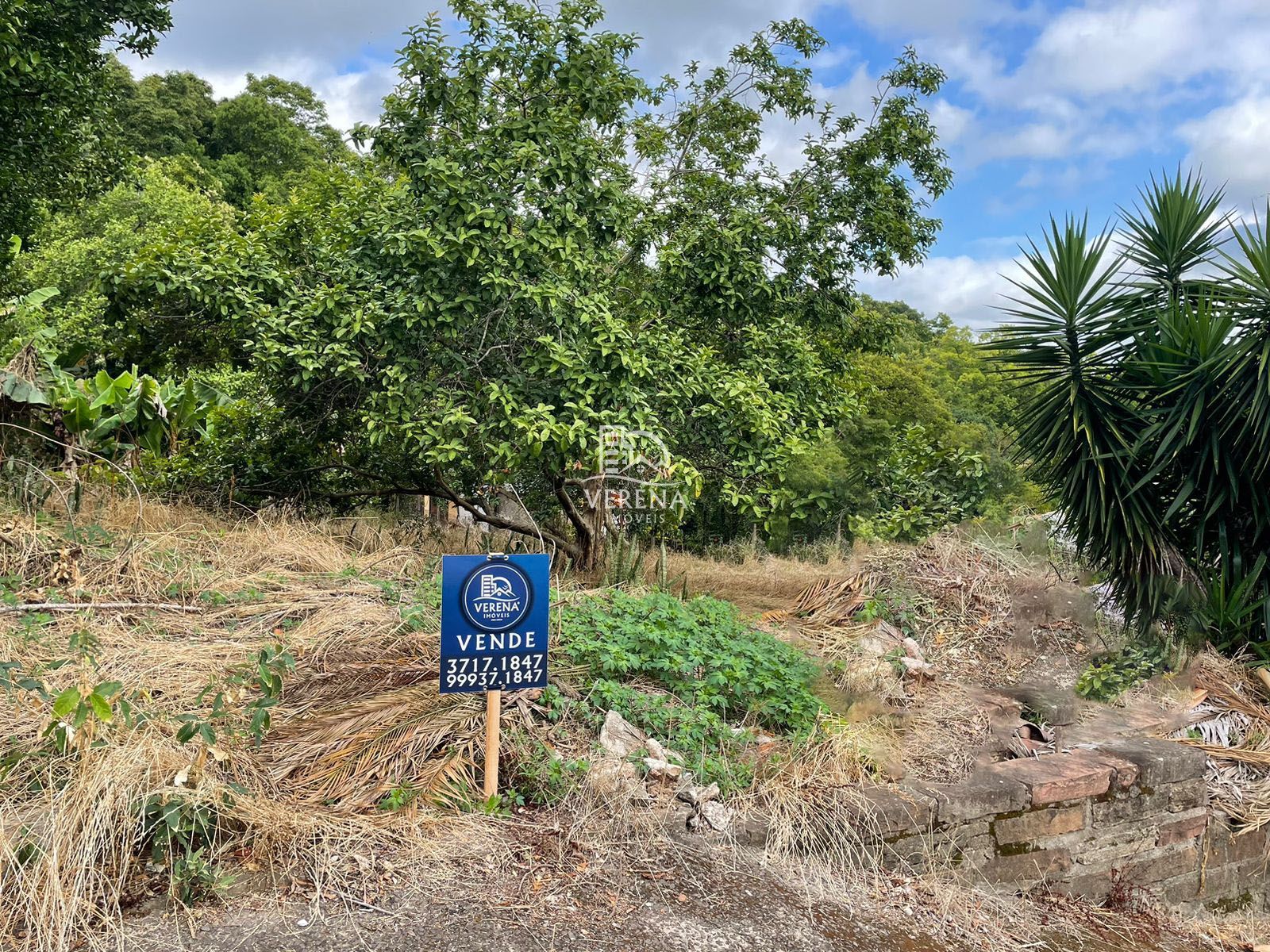 Terreno à venda, 750m² - Foto 2