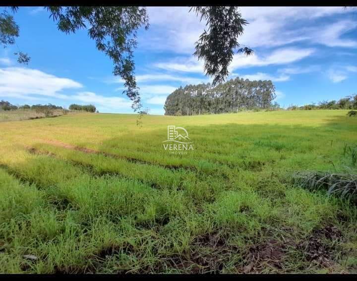 Fazenda à venda com 3 quartos, 1540000000m² - Foto 8