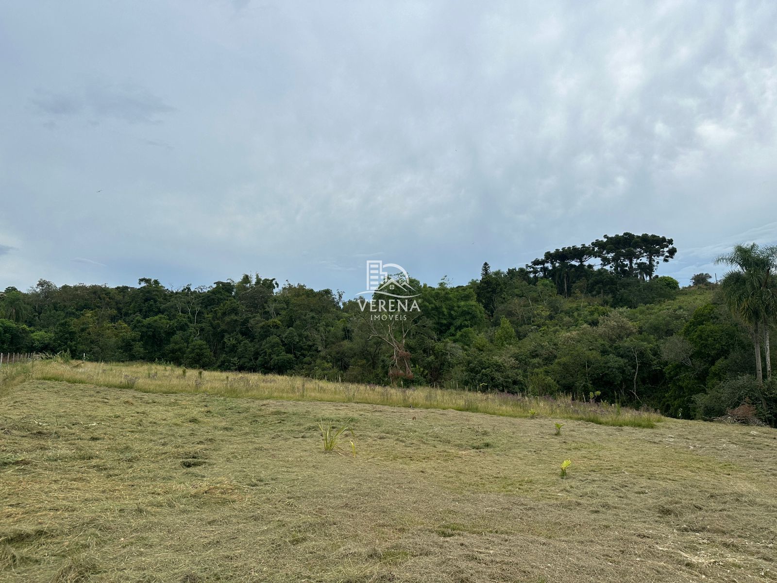 Fazenda à venda, 1000000000000m² - Foto 11