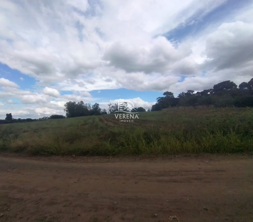 Chácara, 3 quartos, 154000 hectares - Foto 17