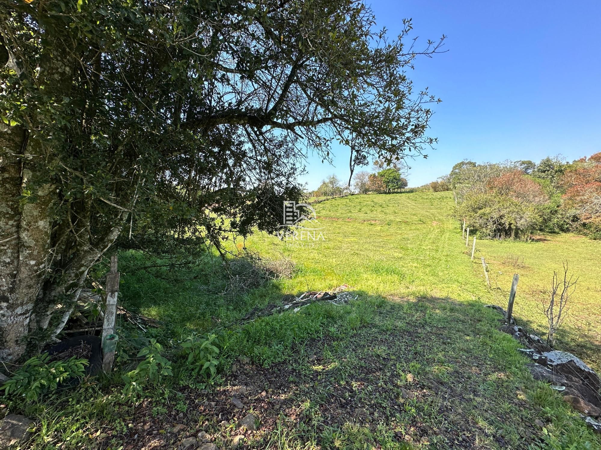 Fazenda à venda com 2 quartos, 200000000m² - Foto 4