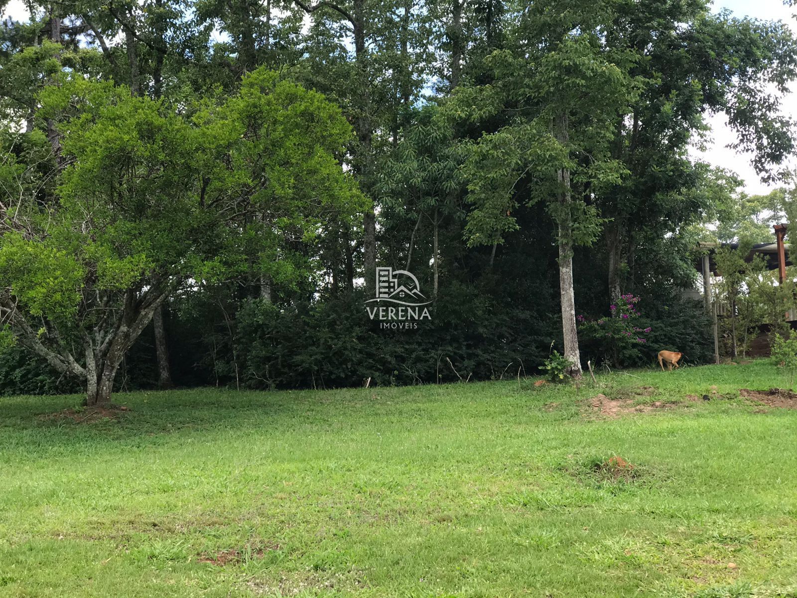 Fazenda à venda com 3 quartos, 250000000m² - Foto 33