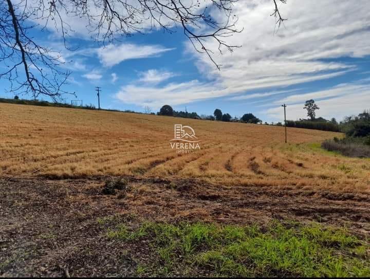 Fazenda à venda com 3 quartos, 1540000000m² - Foto 9