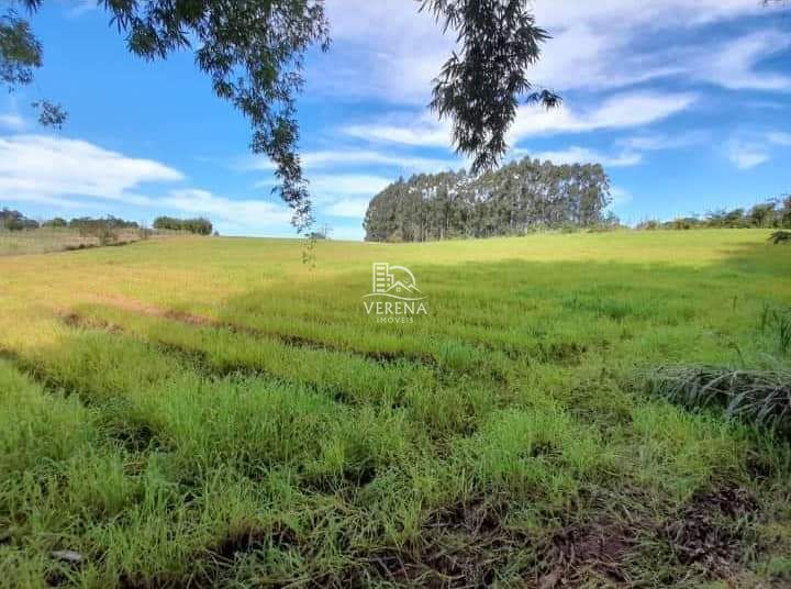 Fazenda à venda com 3 quartos, 1540000000m² - Foto 6