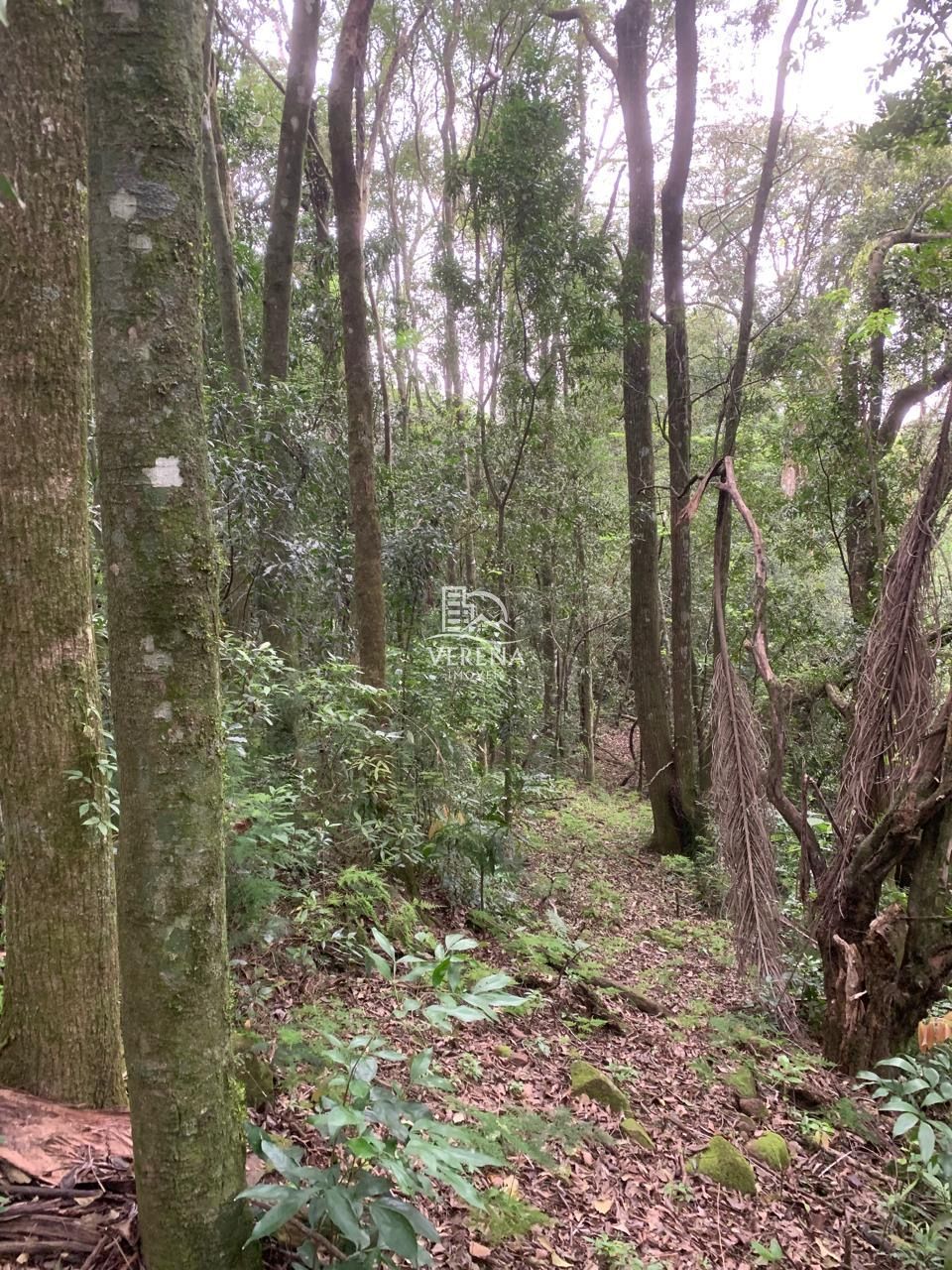 Terreno à venda, 3250m² - Foto 8