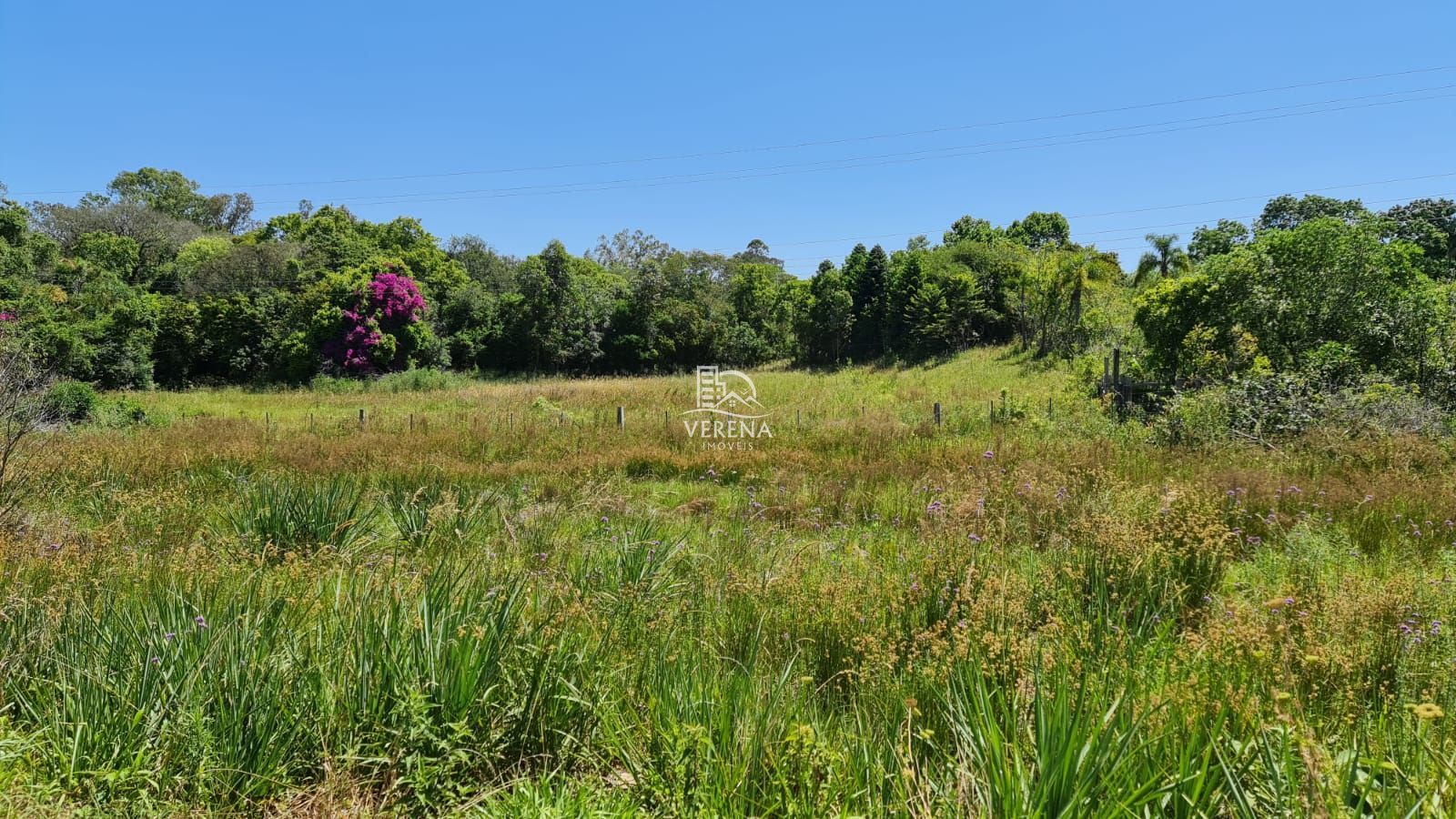 Fazenda à venda, 230000000m² - Foto 1