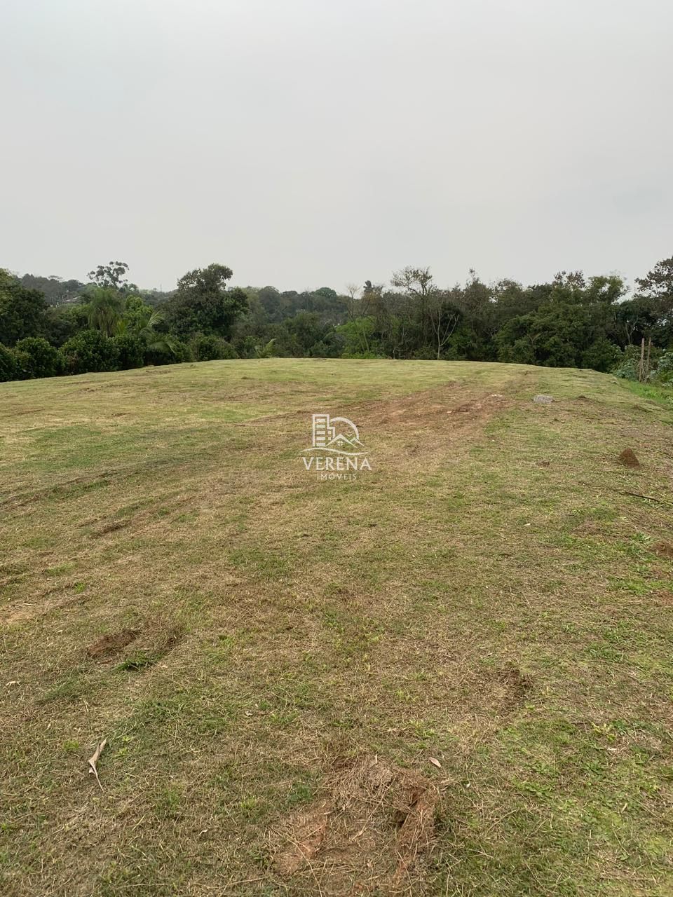 Terreno, 3250 m² - Foto 3