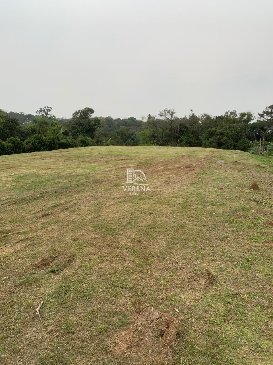 Terreno à venda, 3250m² - Foto 3