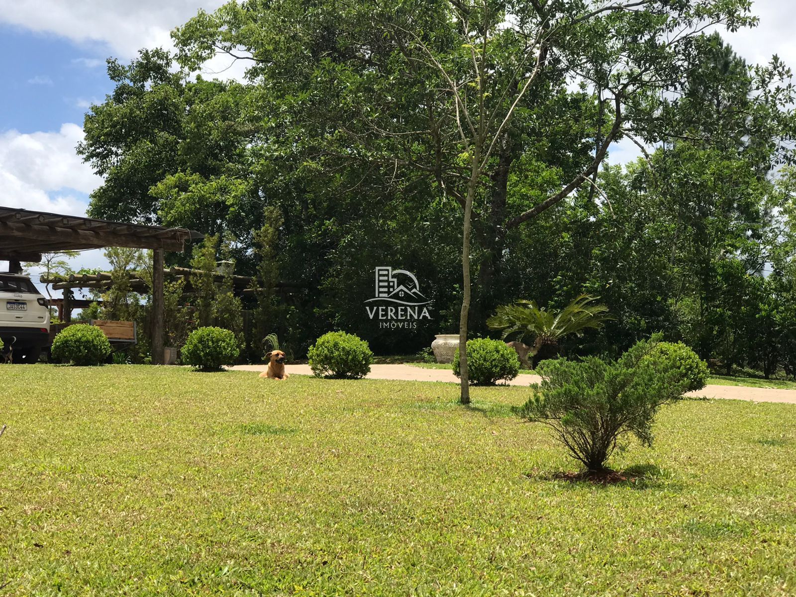 Chácara à venda com 3 quartos, 250000000m² - Foto 31