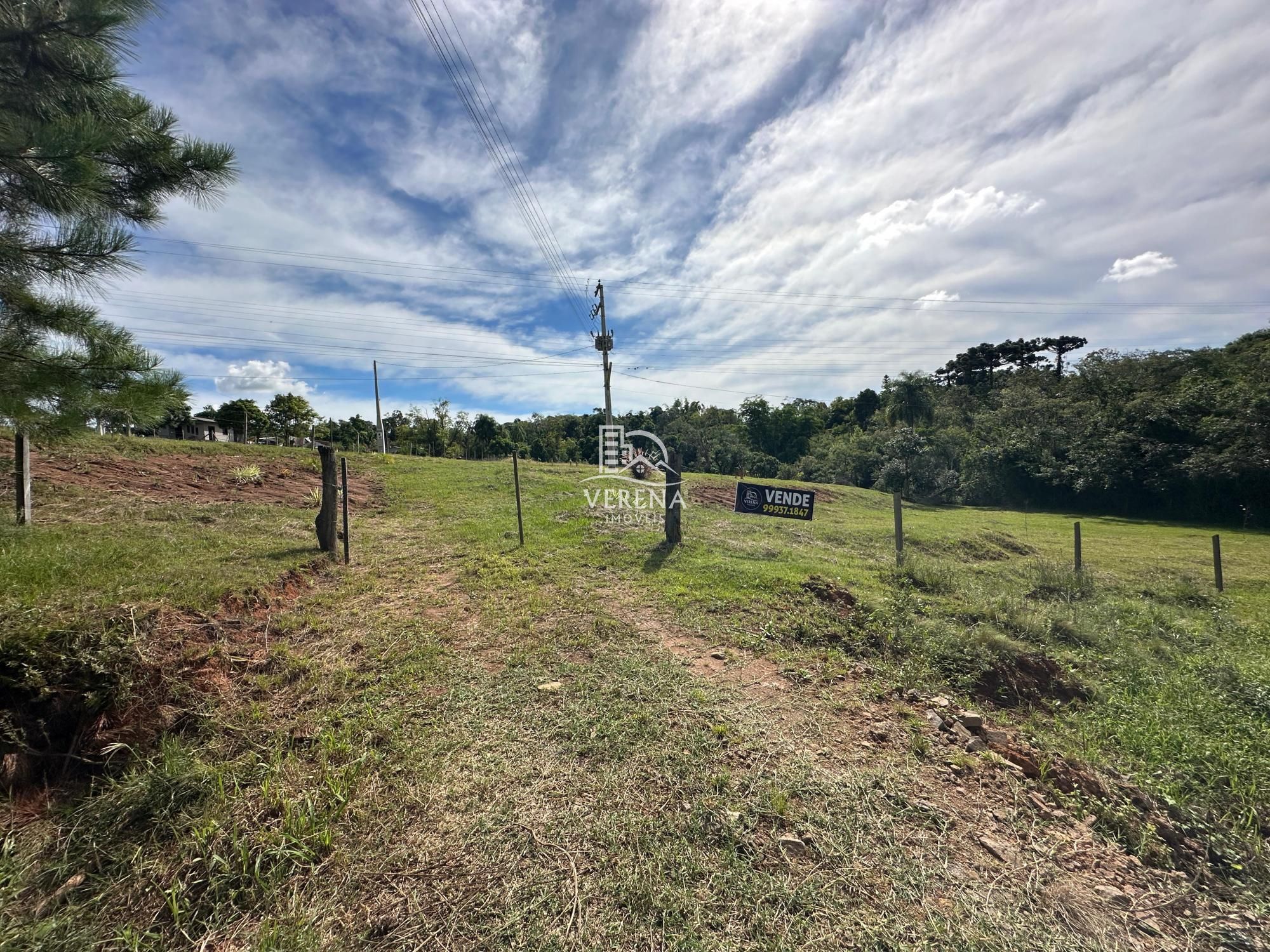 Fazenda à venda, 1000000000000m² - Foto 4