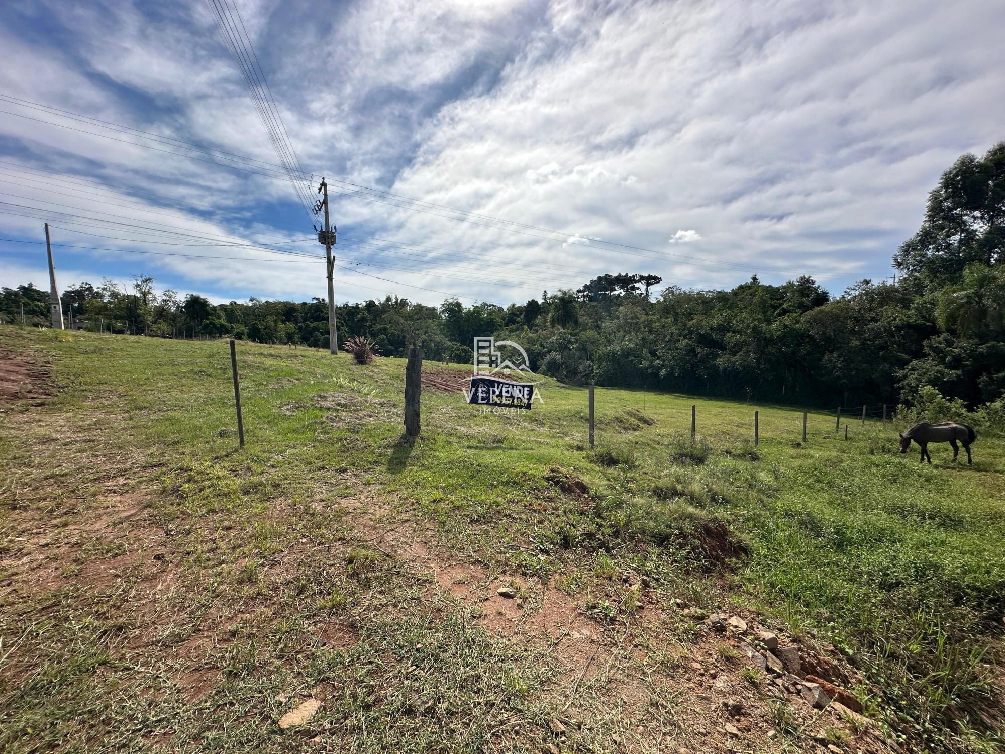 Fazenda à venda, 1000000000000m² - Foto 3