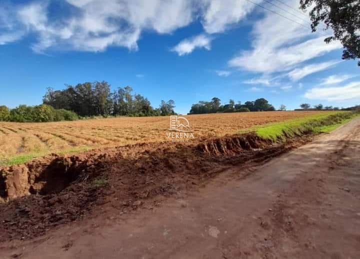 Fazenda à venda com 3 quartos, 1540000000m² - Foto 7