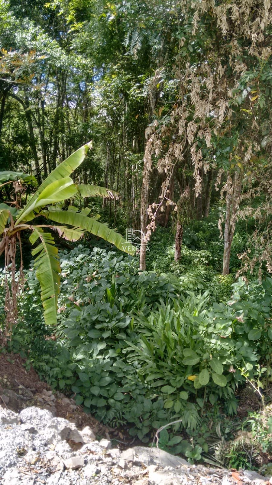 Terreno à venda, 370m² - Foto 1