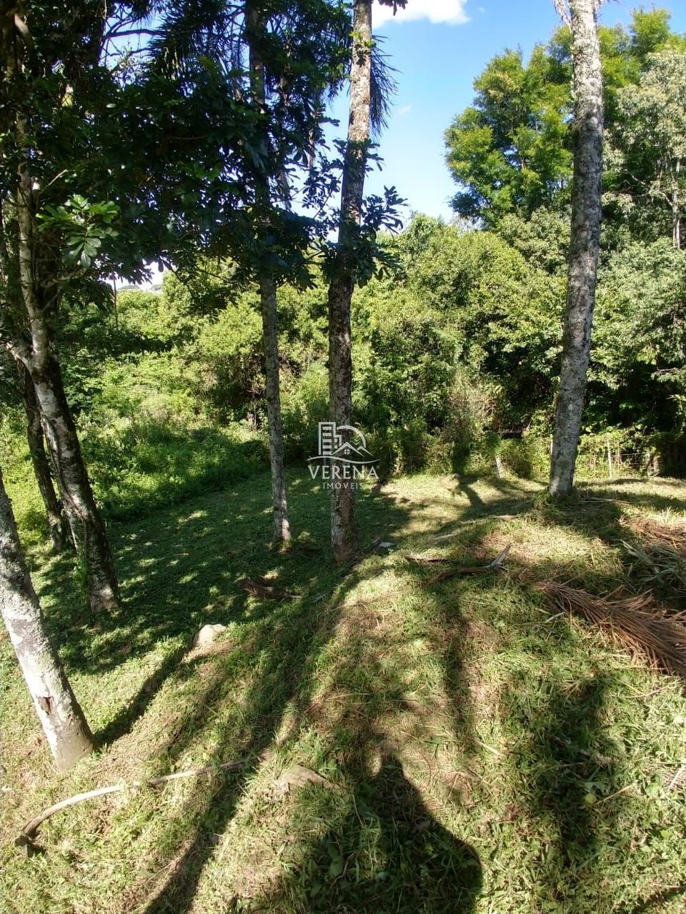 Terreno, 504 m² - Foto 3