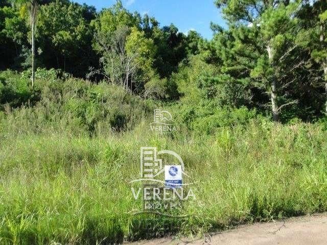 Terreno, 1668 m² - Foto 4