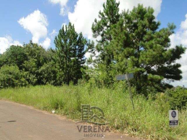 Terreno, 1668 m² - Foto 3