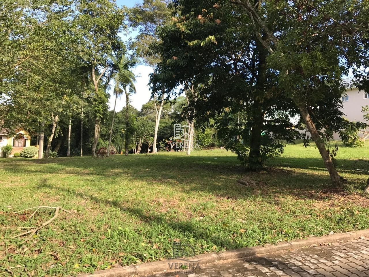 Terreno, 1538 m² - Foto 4