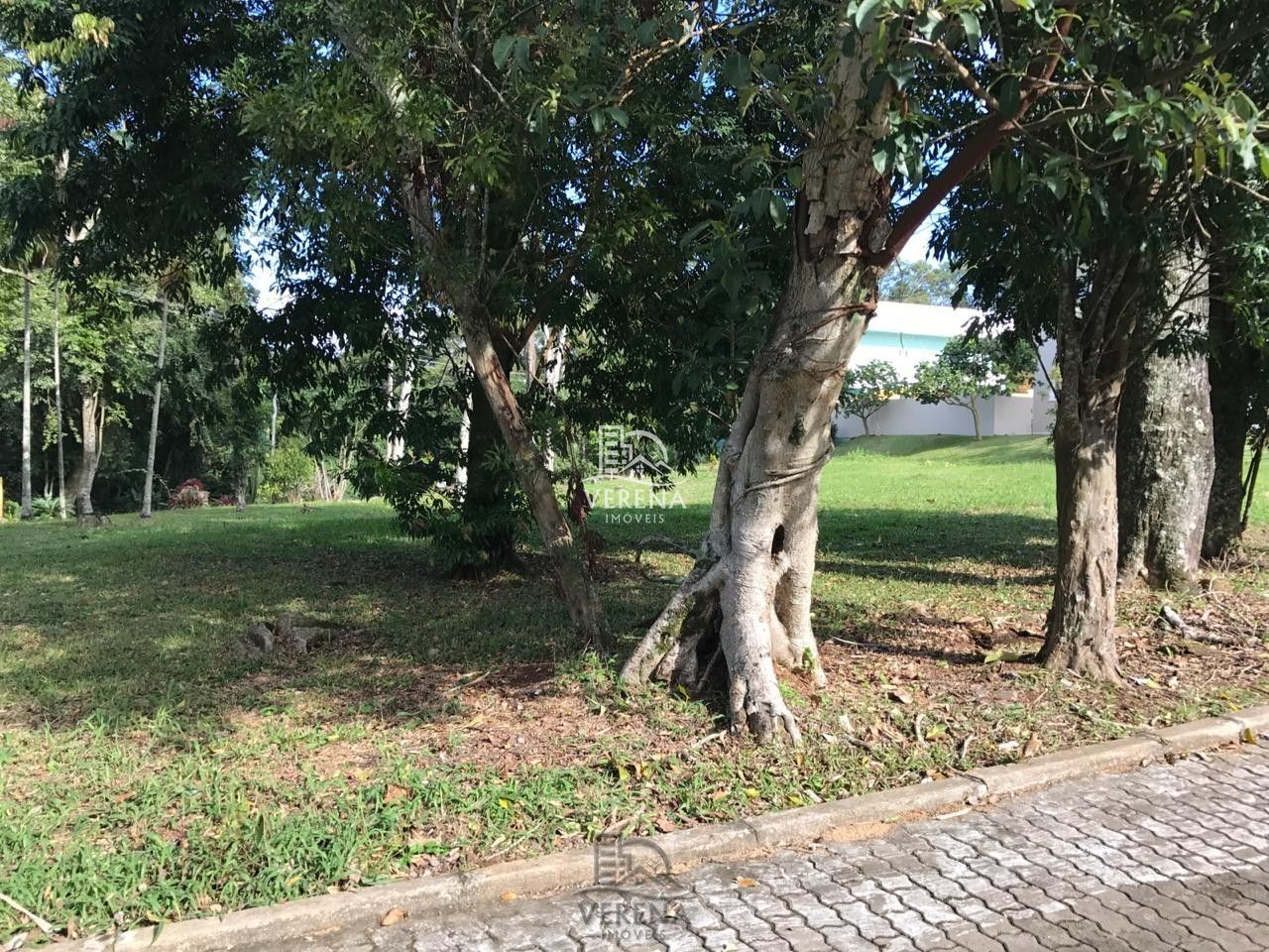 Terreno, 1538 m² - Foto 2