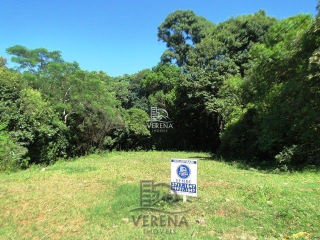 Terreno à venda, 250m² - Foto 1