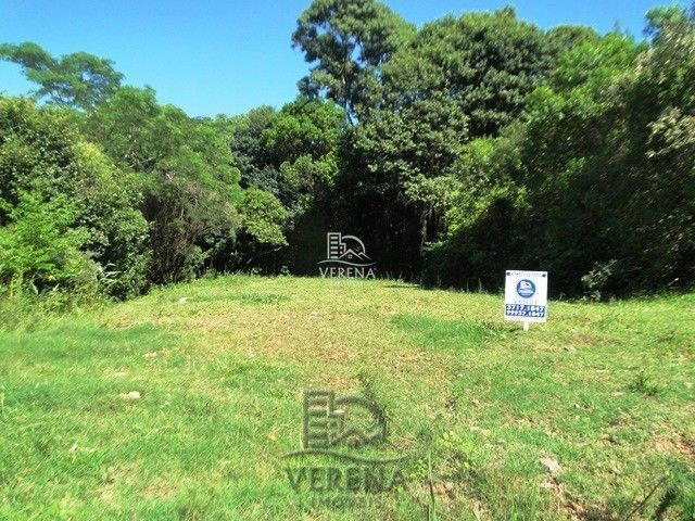 Terreno à venda, 250m² - Foto 2