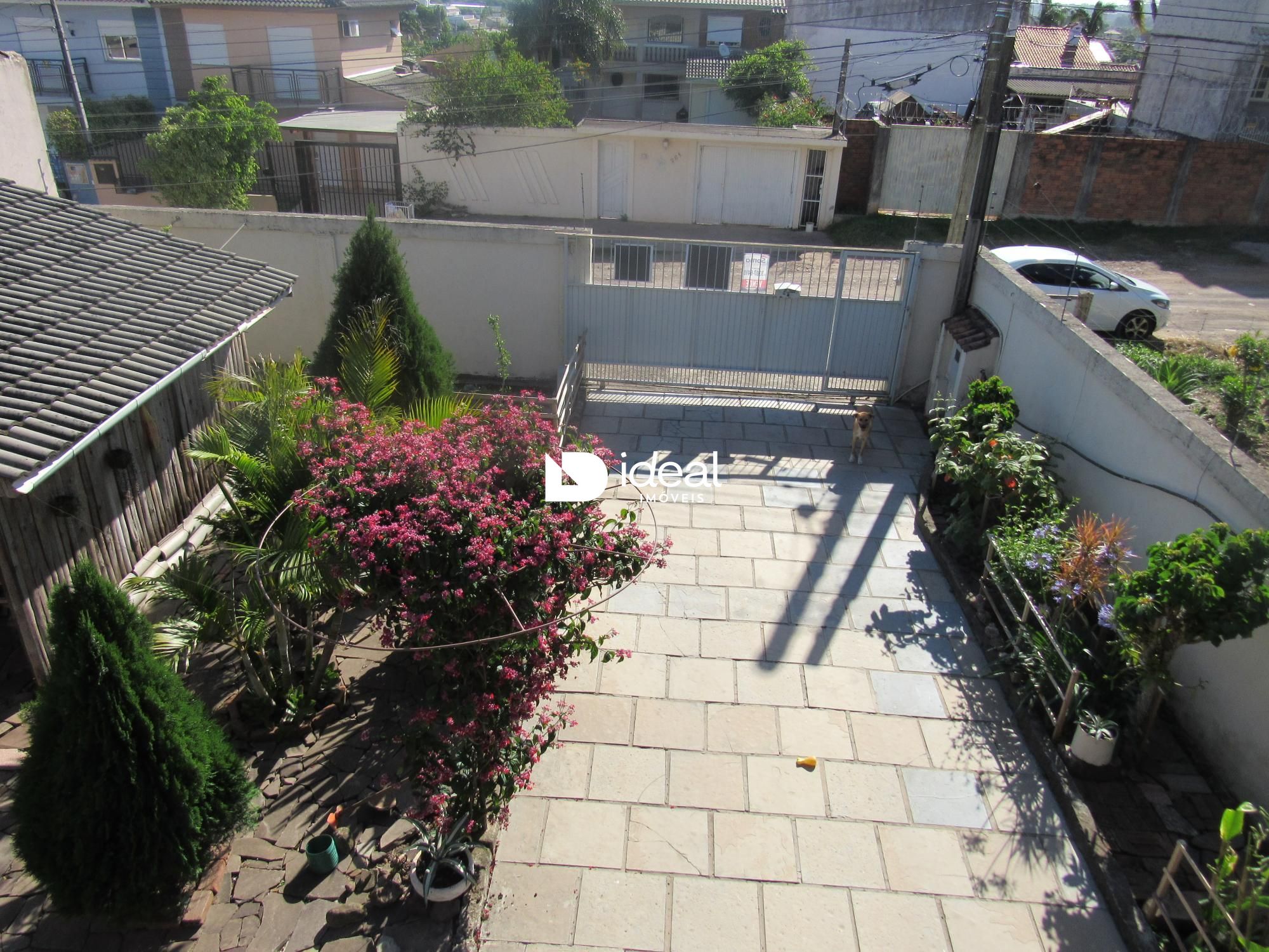 img15142029