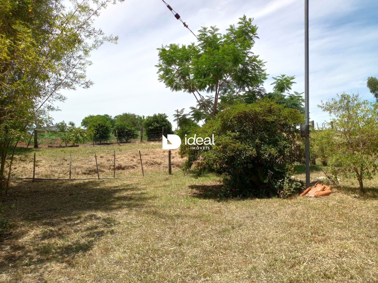 img29279667