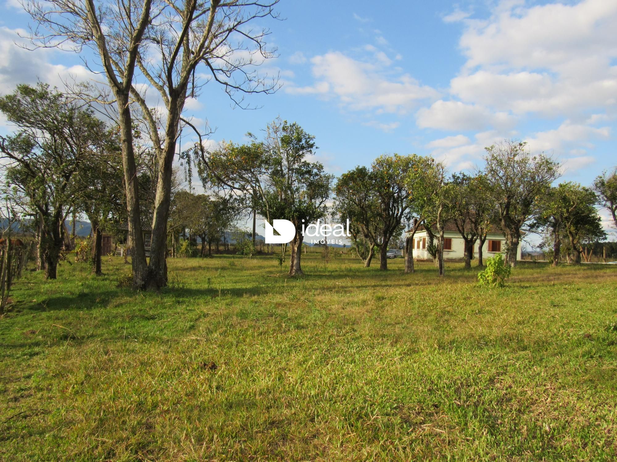 img12590918