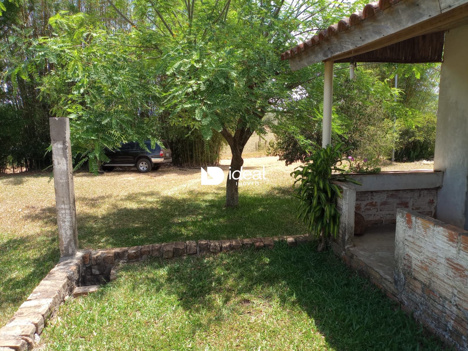 img29279673