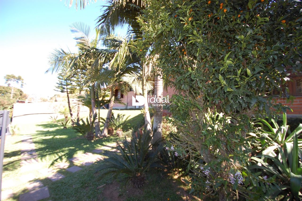 img6399642