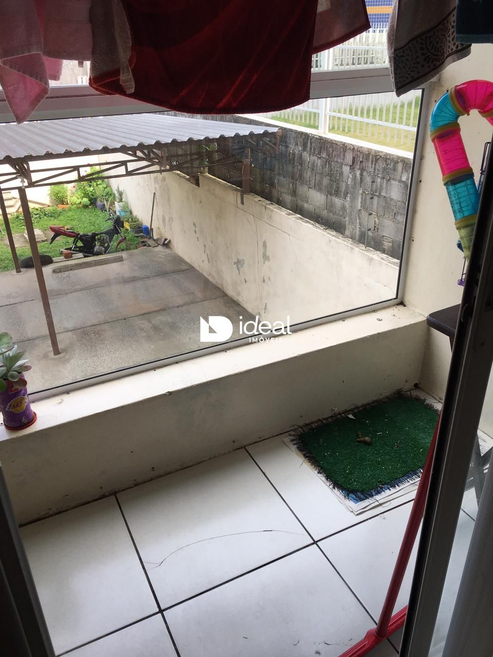img11211520