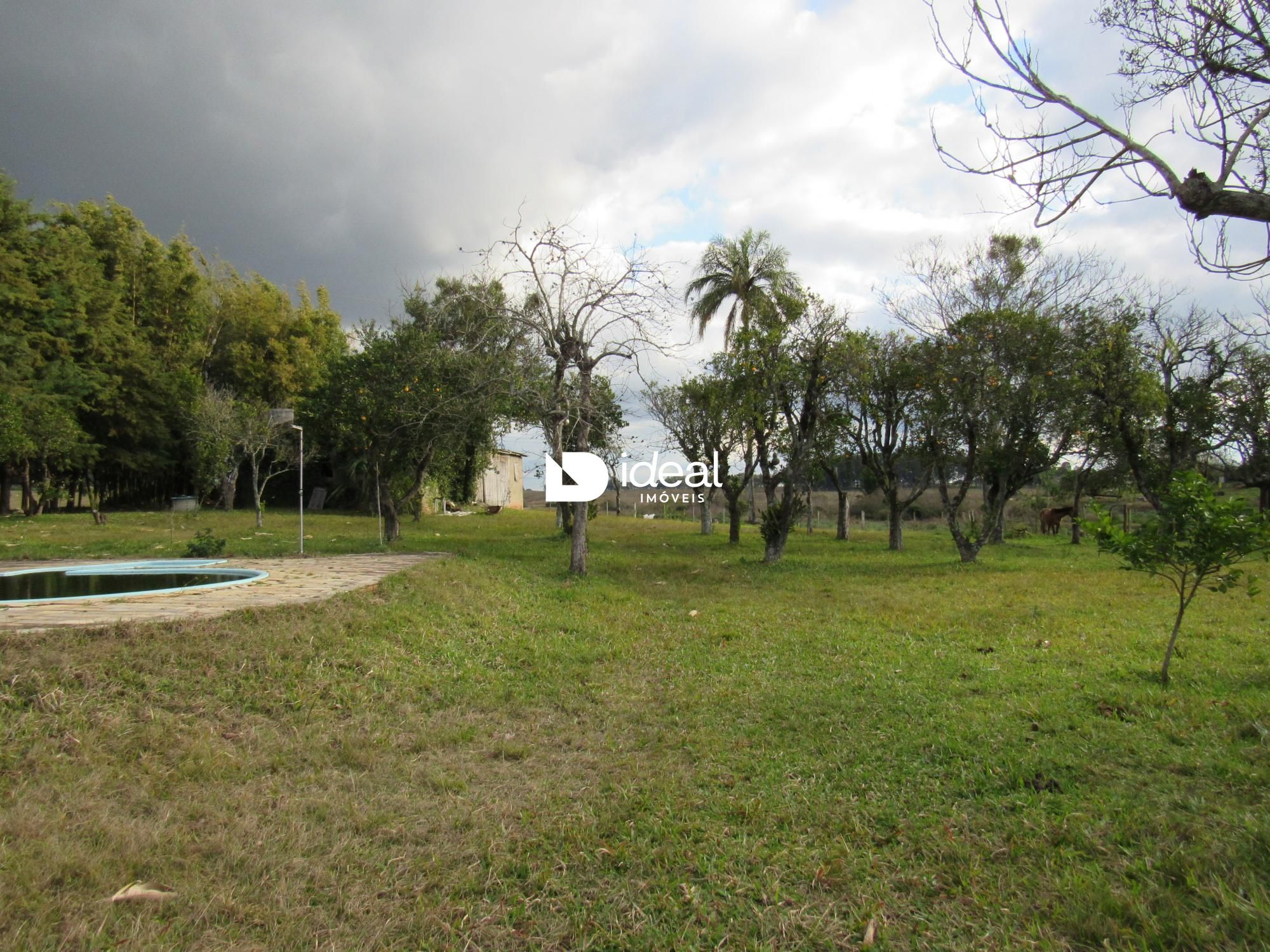 img12590864