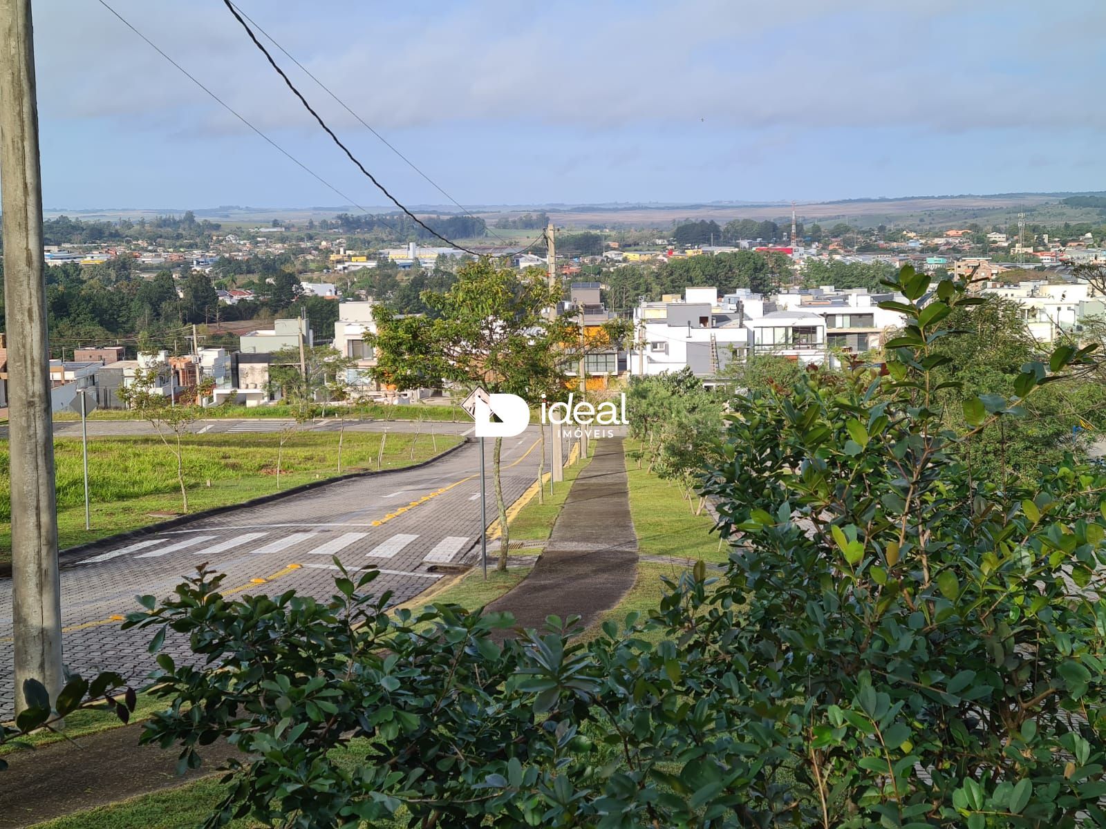img52194421
