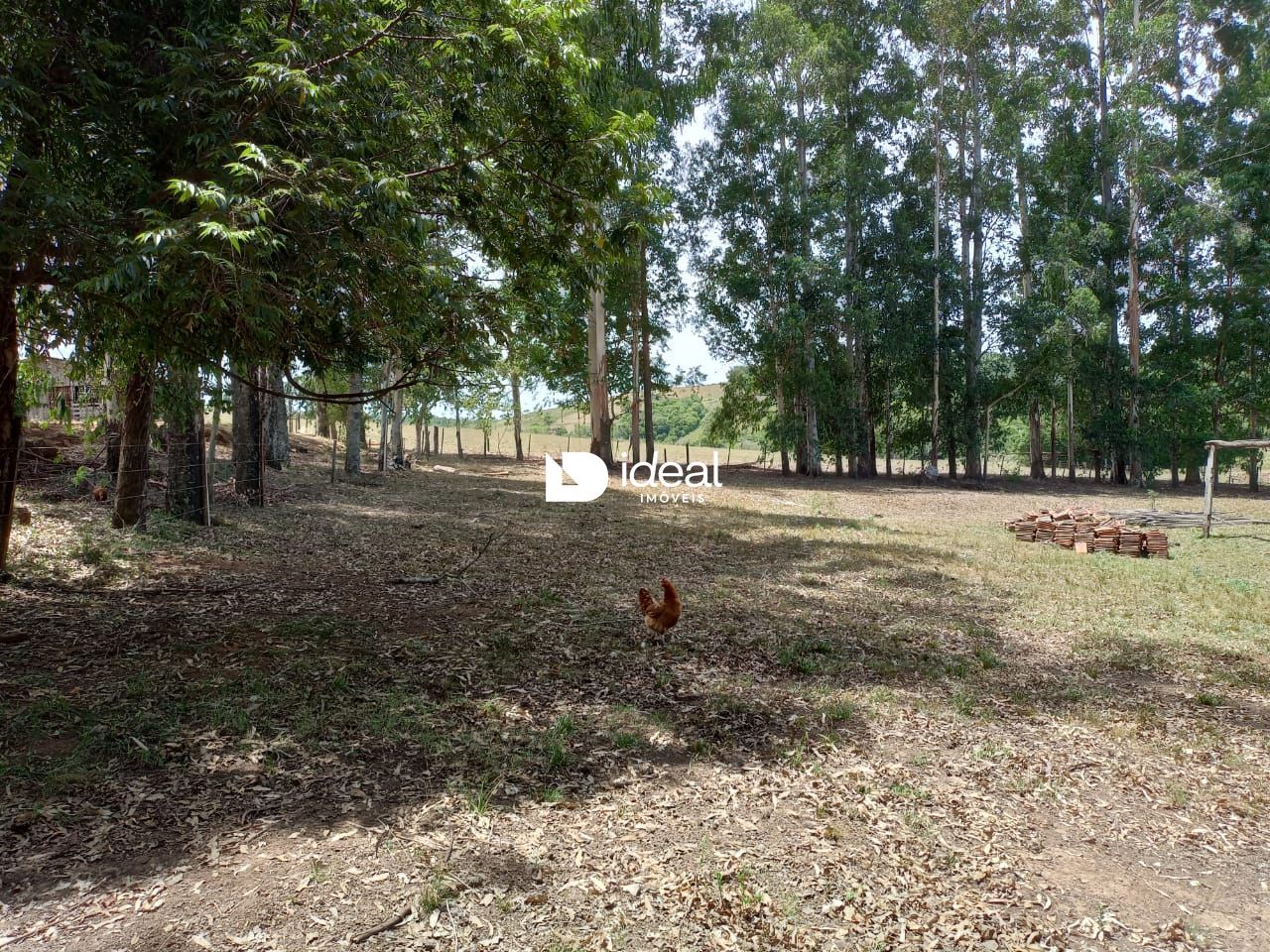 Chácara de 2 quartos, 63m² no bairro Zona rural, em Toropi | Eu Corretor