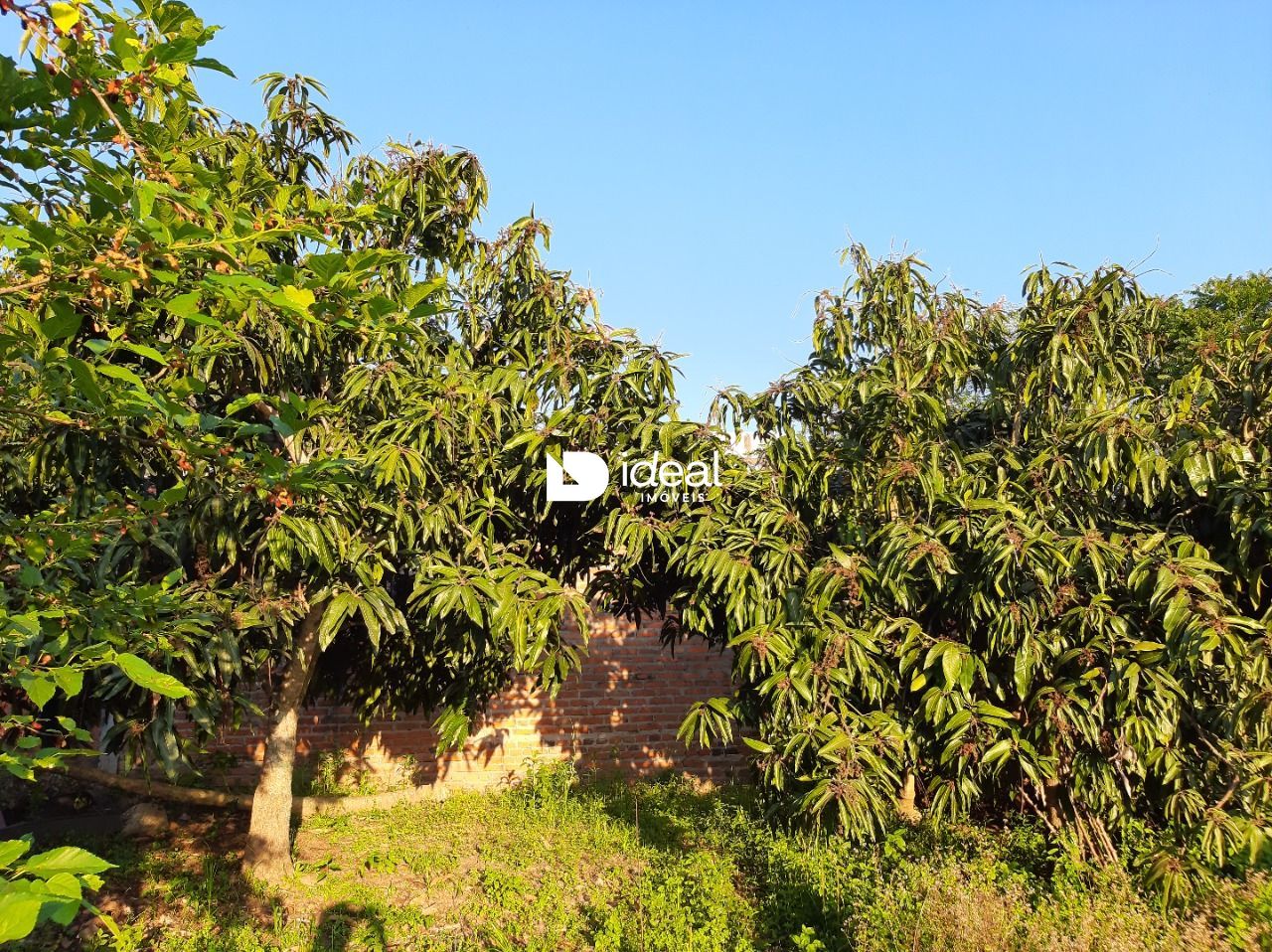Lote/Terreno de 364m² no bairro Nossa Senhora do Perpétuo Socorro, em Santa Maria | Eu Corretor