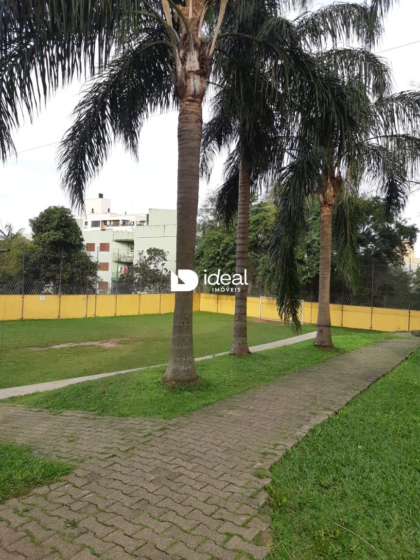 img20553899