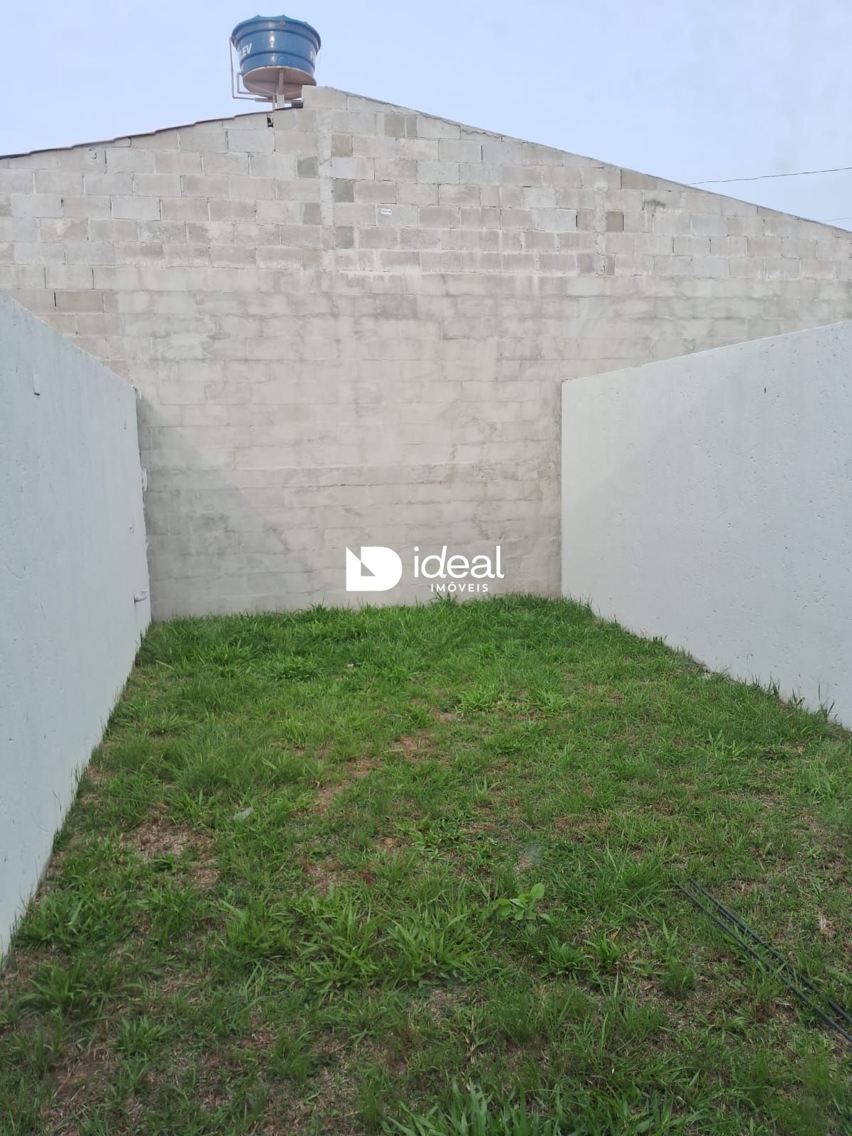 img156527742