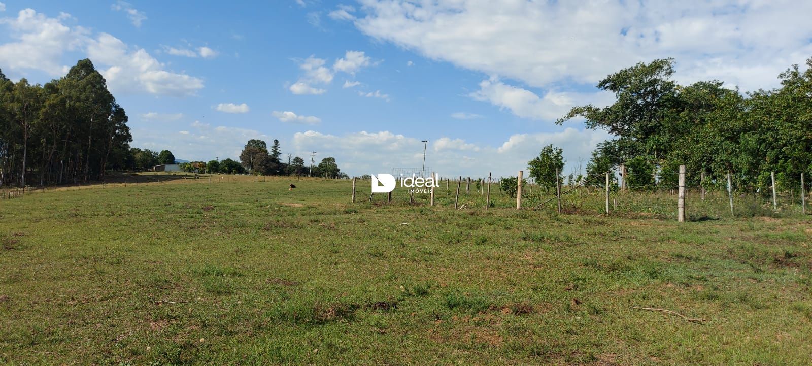 img27773664