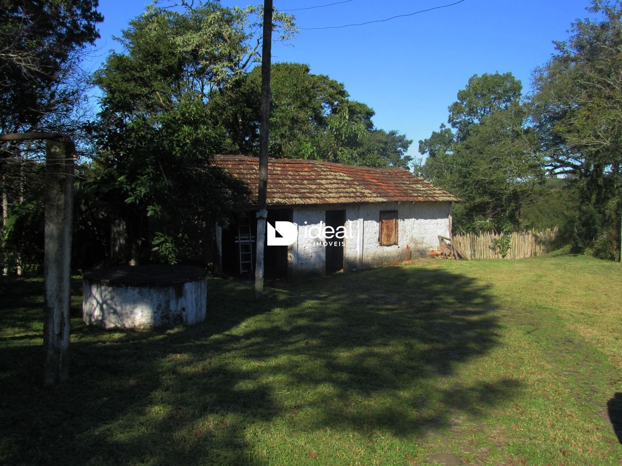 img21260403